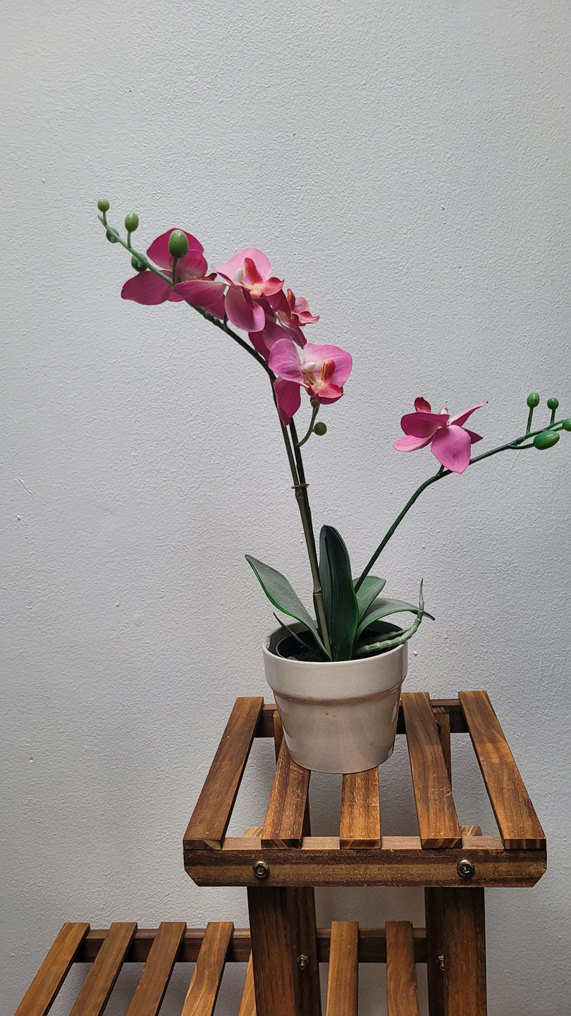 artificial flower plant 🌺 thumbnail