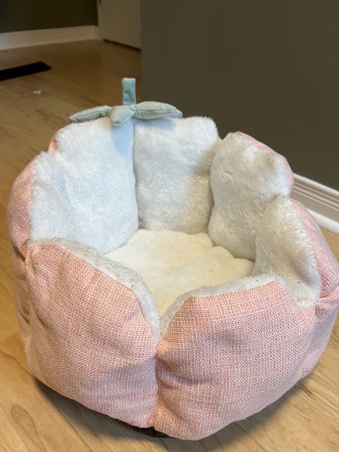 Fruit Cat Bed - Never used - photo 3