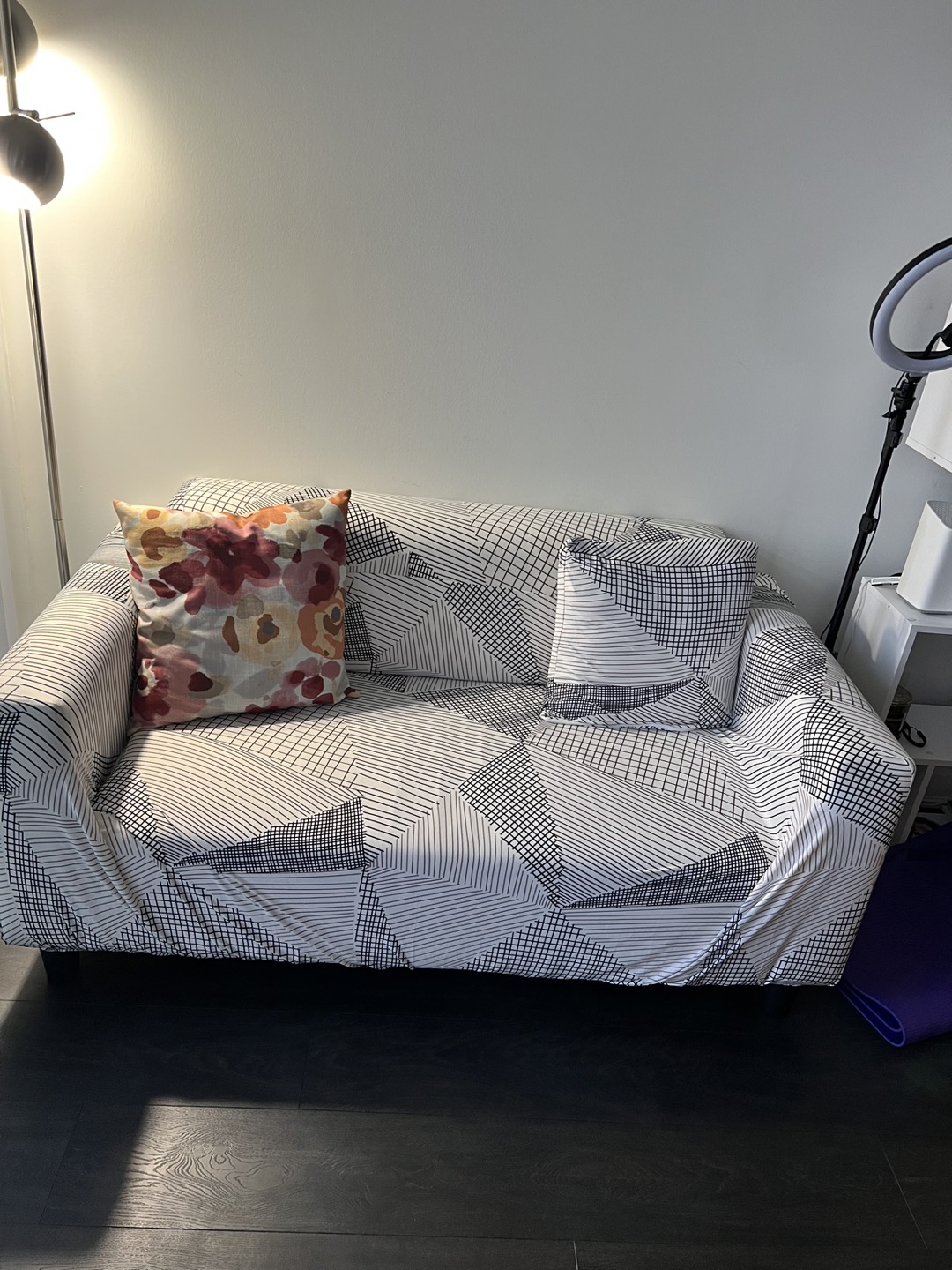 Free Loveseat Couch