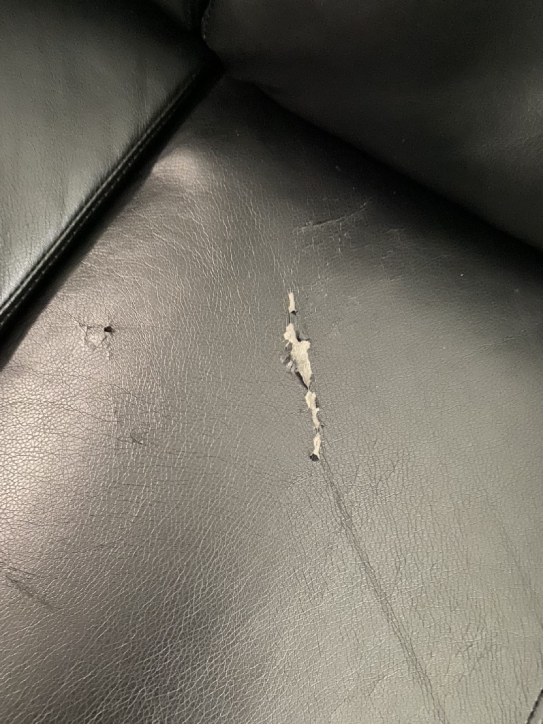 Sofa - photo 5