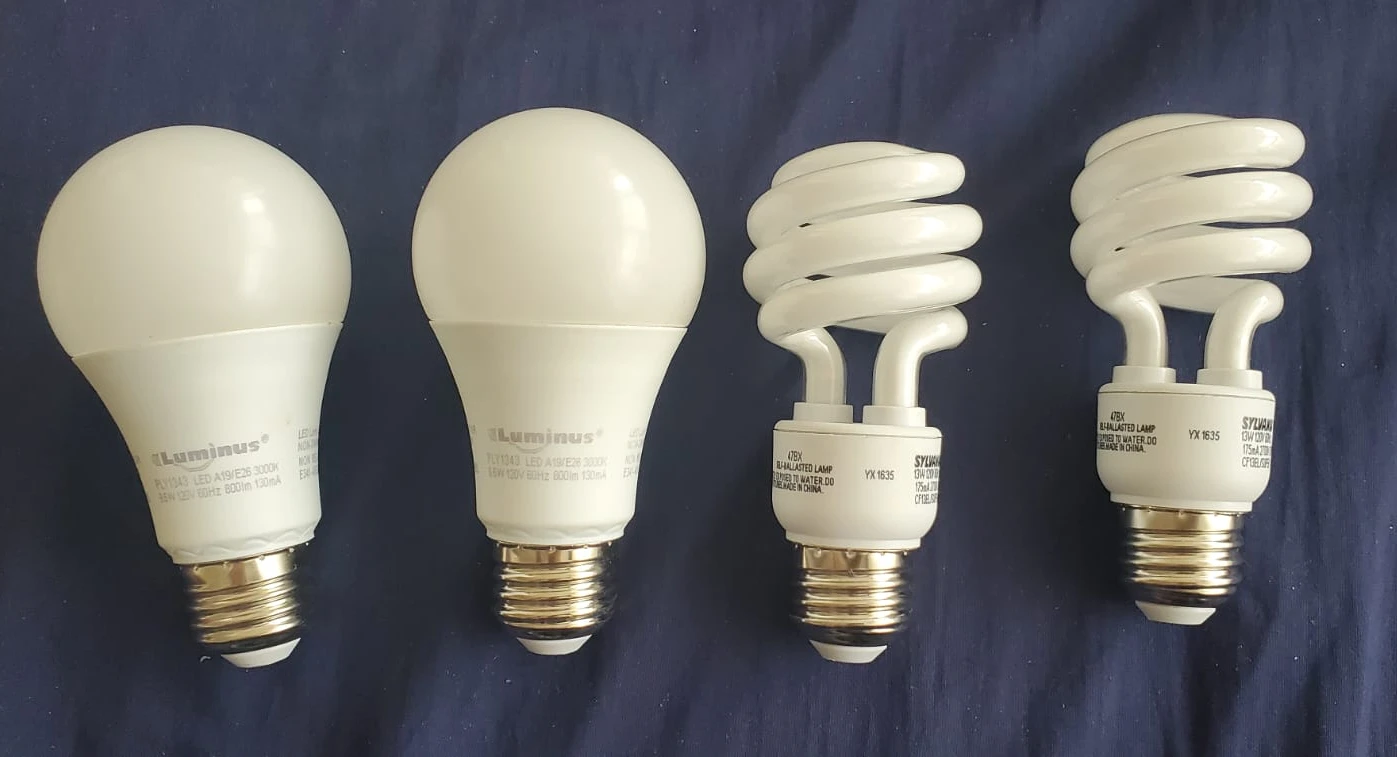 Bulbs for sale - photo 4