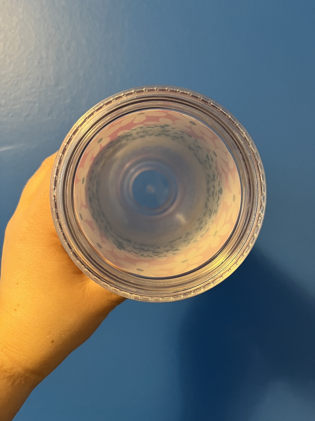 Ban.do Daisy Sip Sip 24oz Tumbler with Reusable Straw image indicator(6)