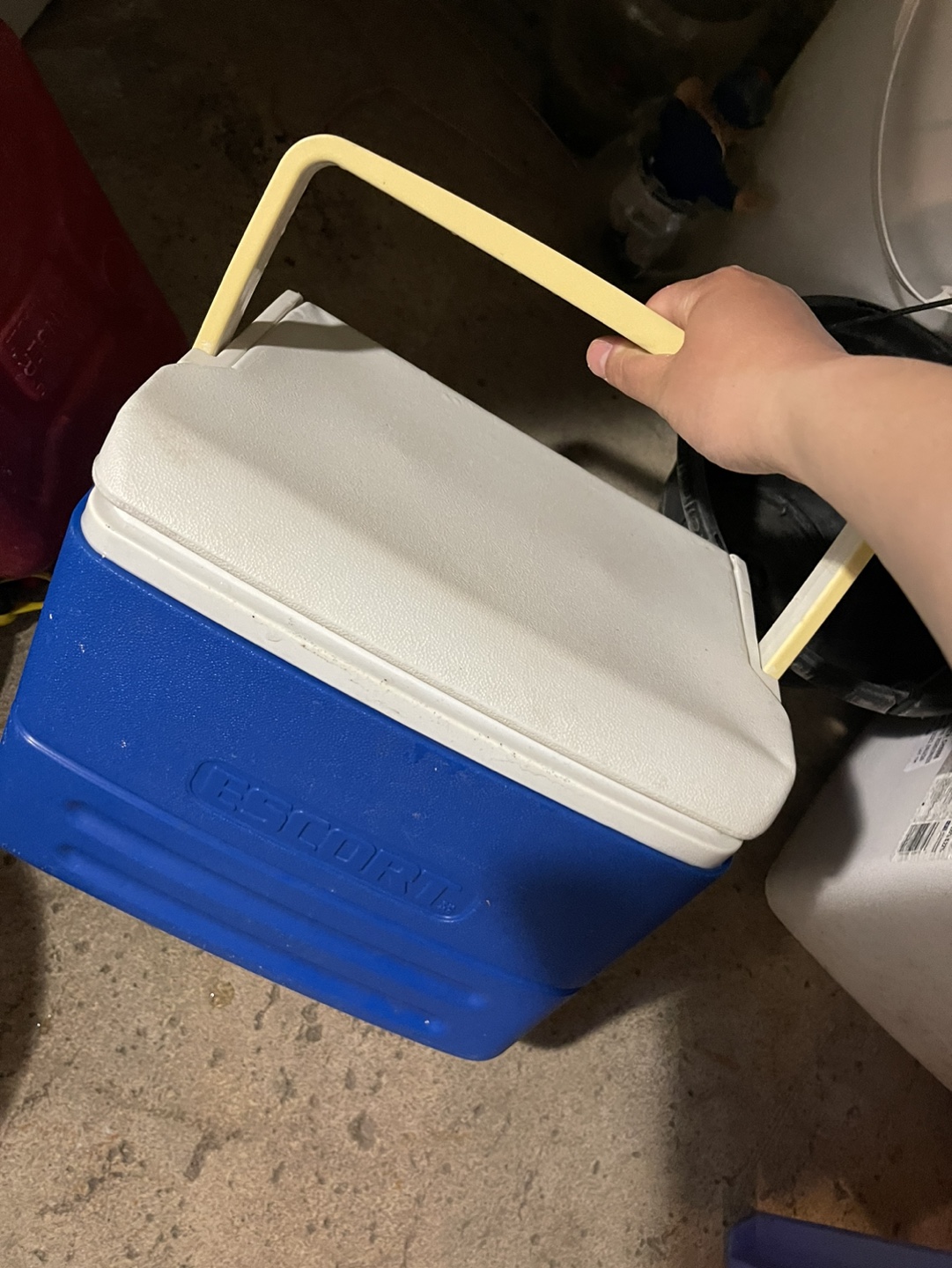 Lunchbox Cooler thumbnail