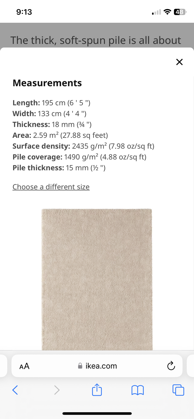 Stoense rug (4’4” x 6’5”) - photo 5