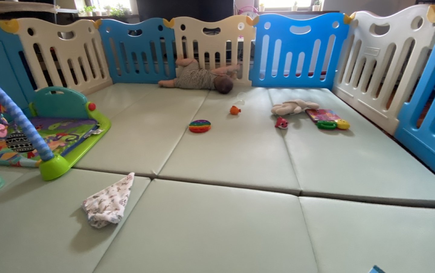 Babycare play-pan #NYC