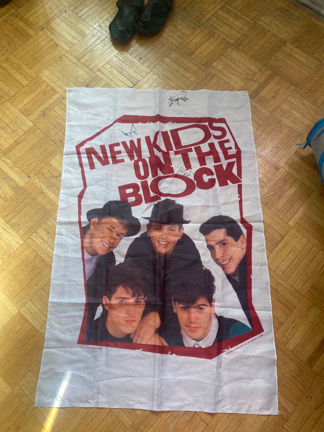 NKOTB New Kids on the Block Merchandise thumbnail