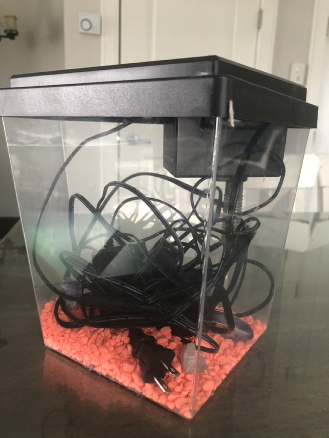 Starter fish tank