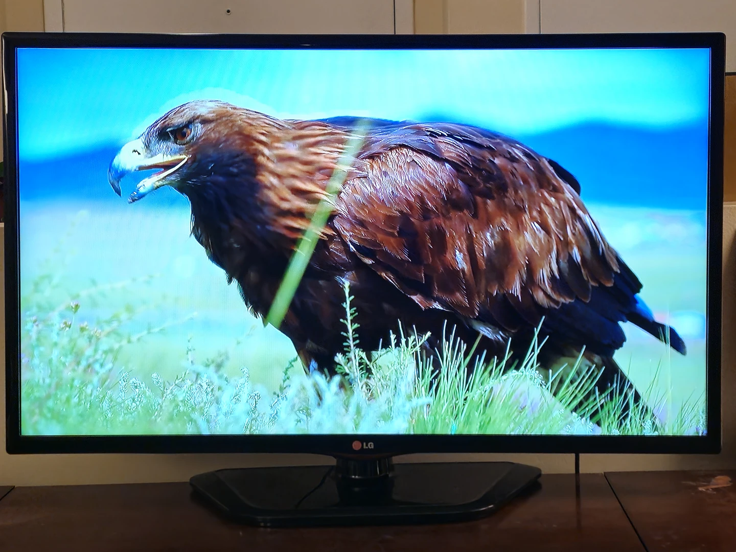 LG 39'' LED TV | 1080p