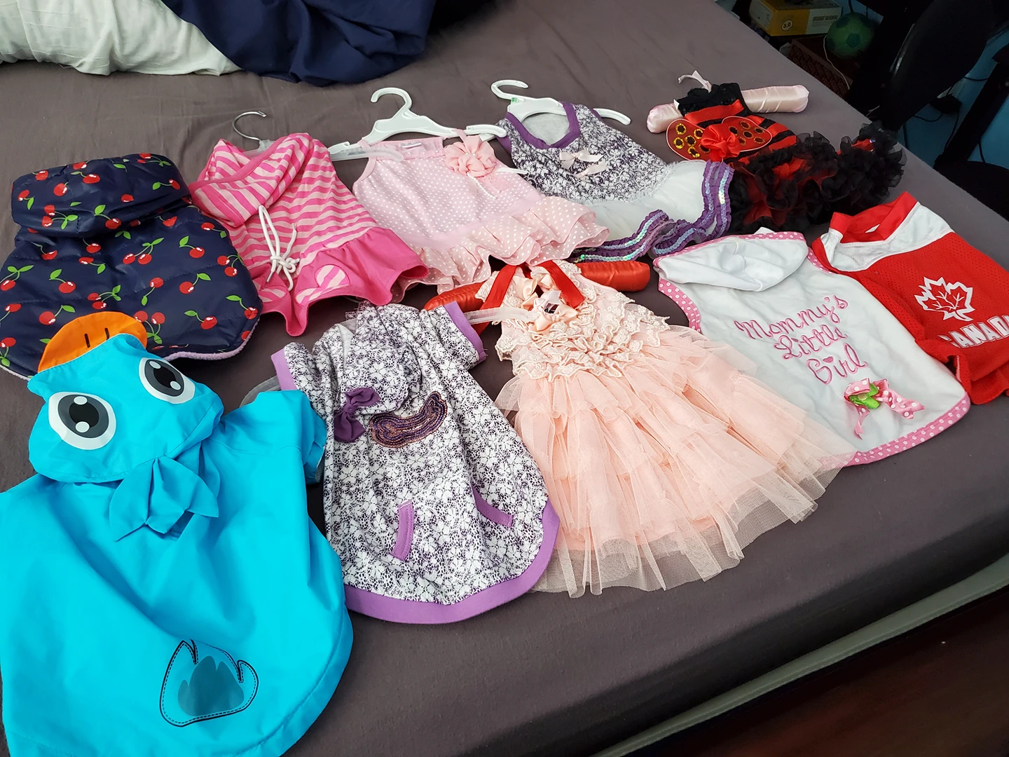 Super cute Dogs clothes image indicator(2)