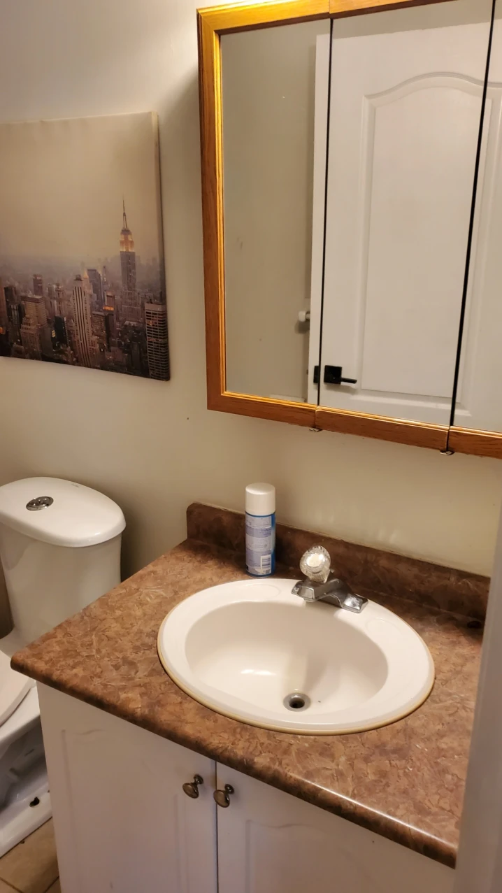 ROOM FOR RENT IN VAUGHAN - photo 3
