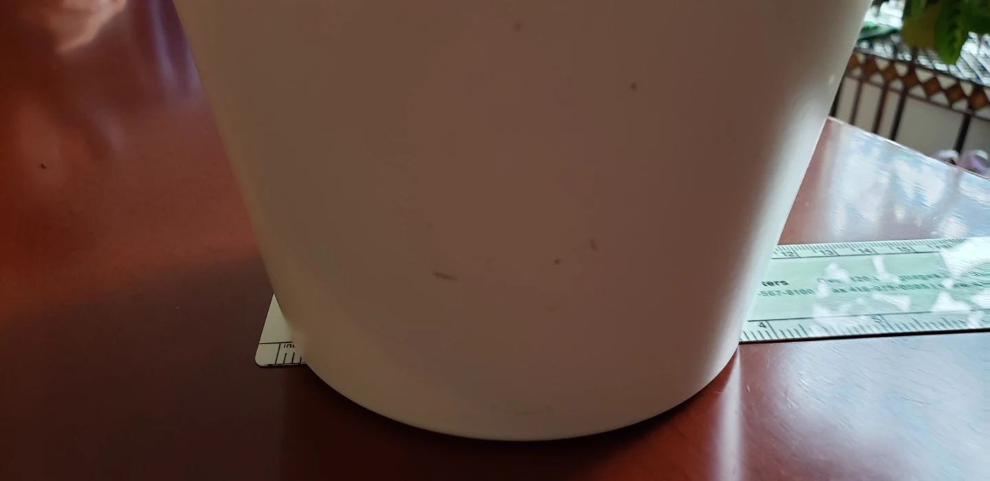 good quality plant pot (light cream) image indicator(4)