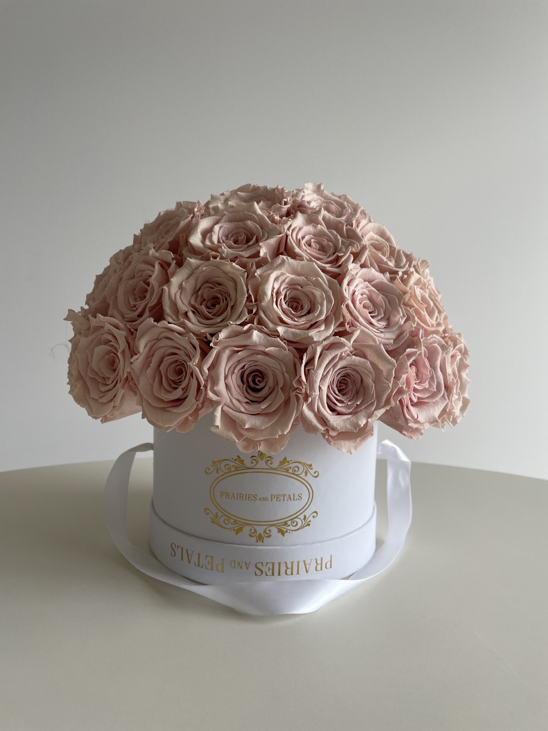 Prairies and Petals roses thumbnail