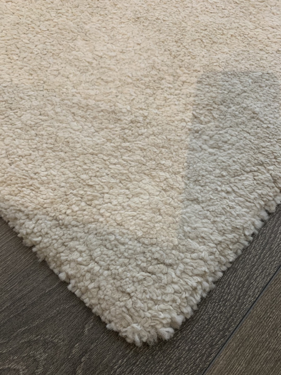 Stoense rug (4’4” x 6’5”) - photo 3