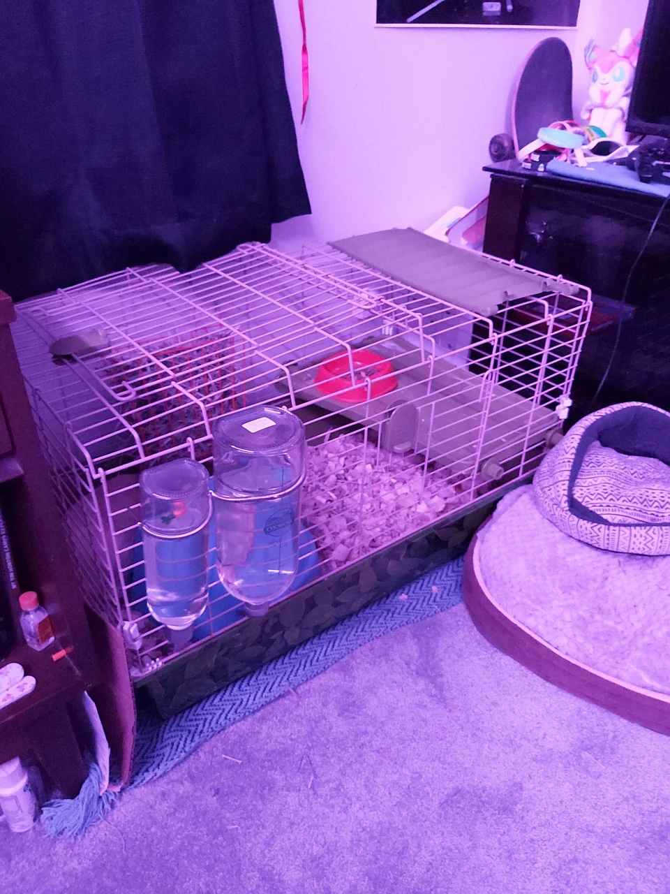 small pet/rodent cage