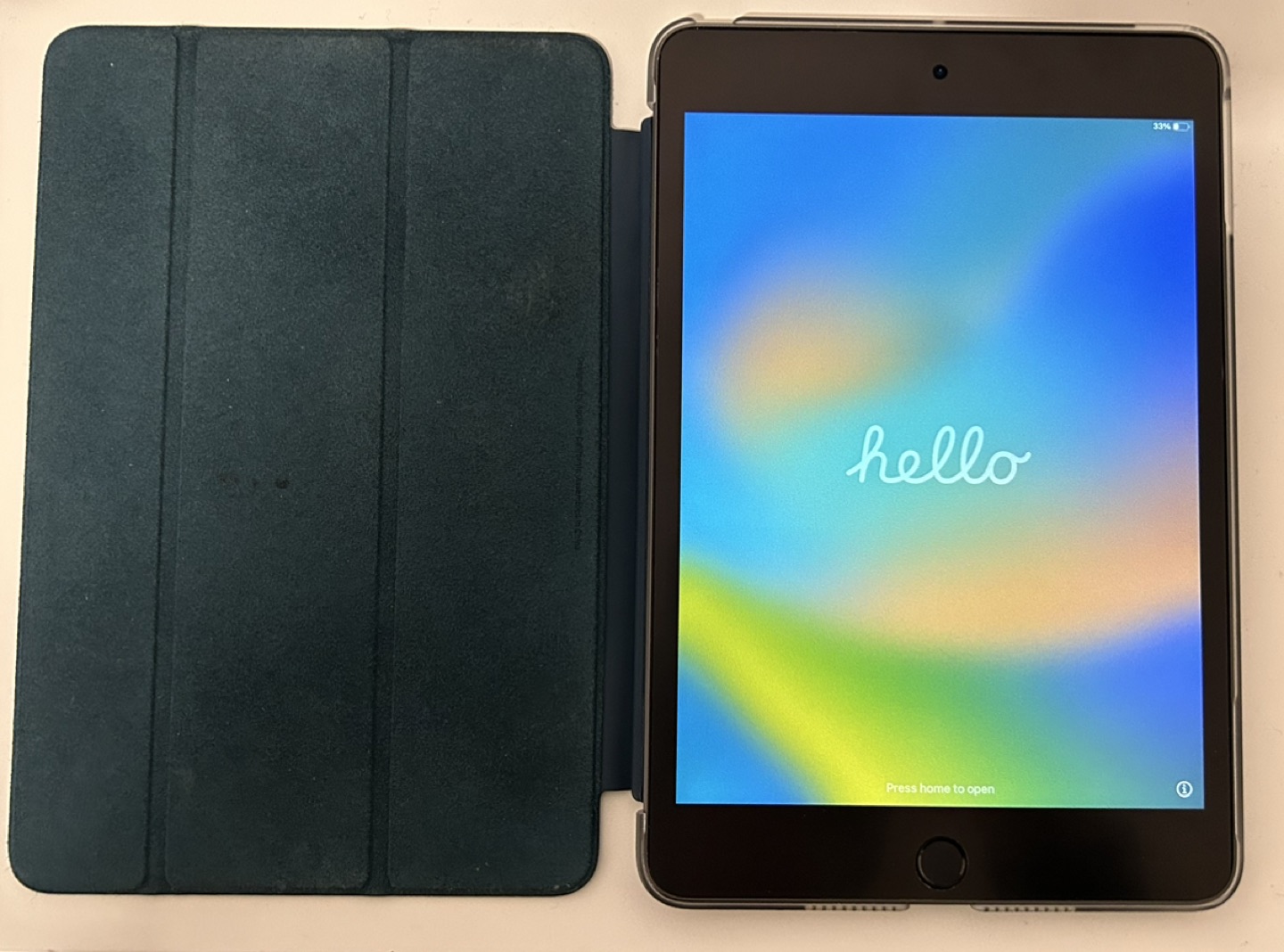 iPad mini 5 64GB Wi-Fi (battery performance 100%)