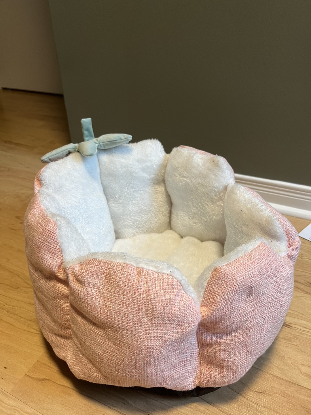 Fruit Cat Bed - Never used