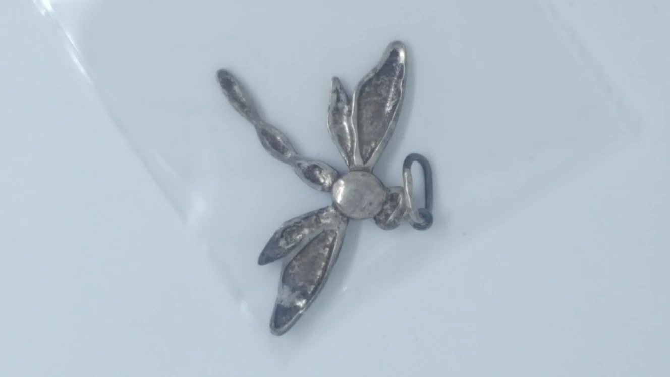 Dragonfly Pendant For Sale image indicator(2)