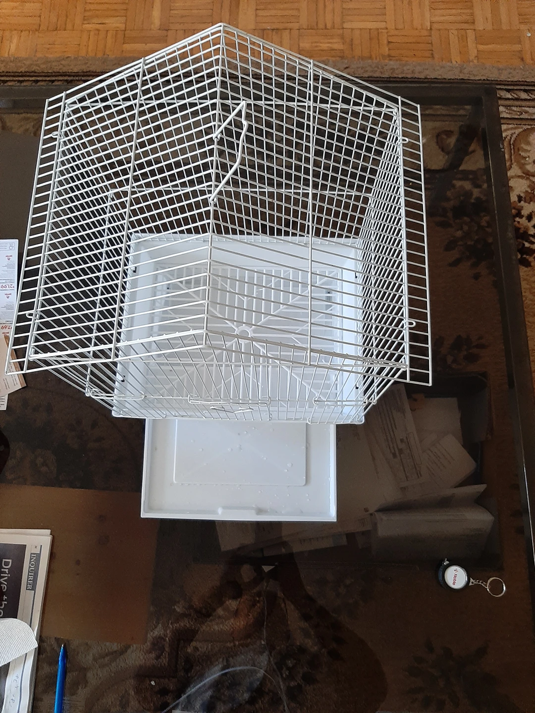 new bird cage thumbnail