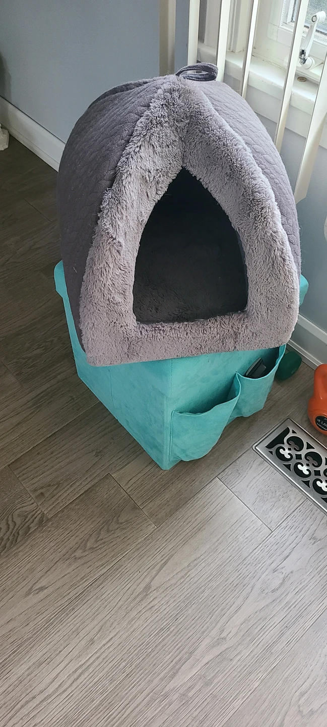 cat or small dog bed thumbnail
