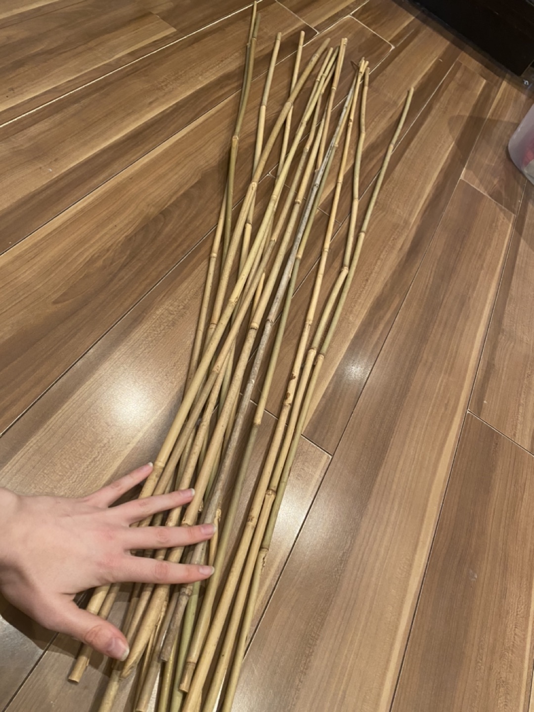 Decorative bamboo image indicator(4)