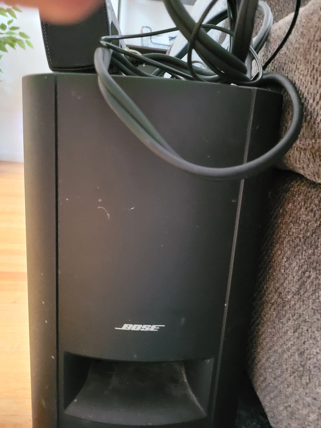 bose