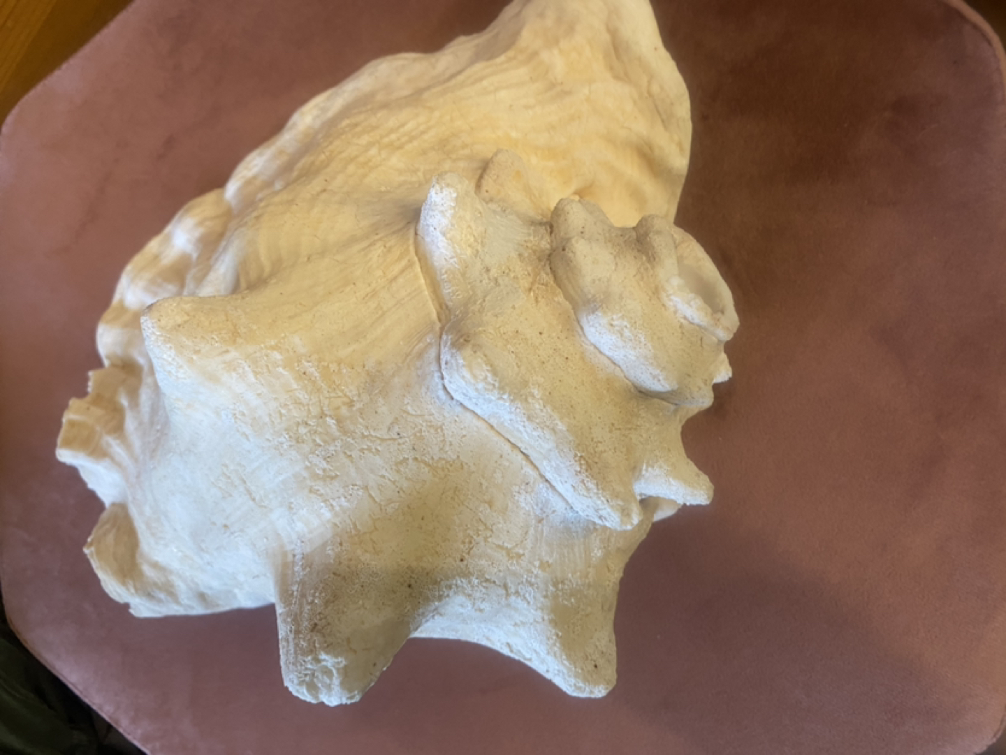 Large Shell image indicator(3)