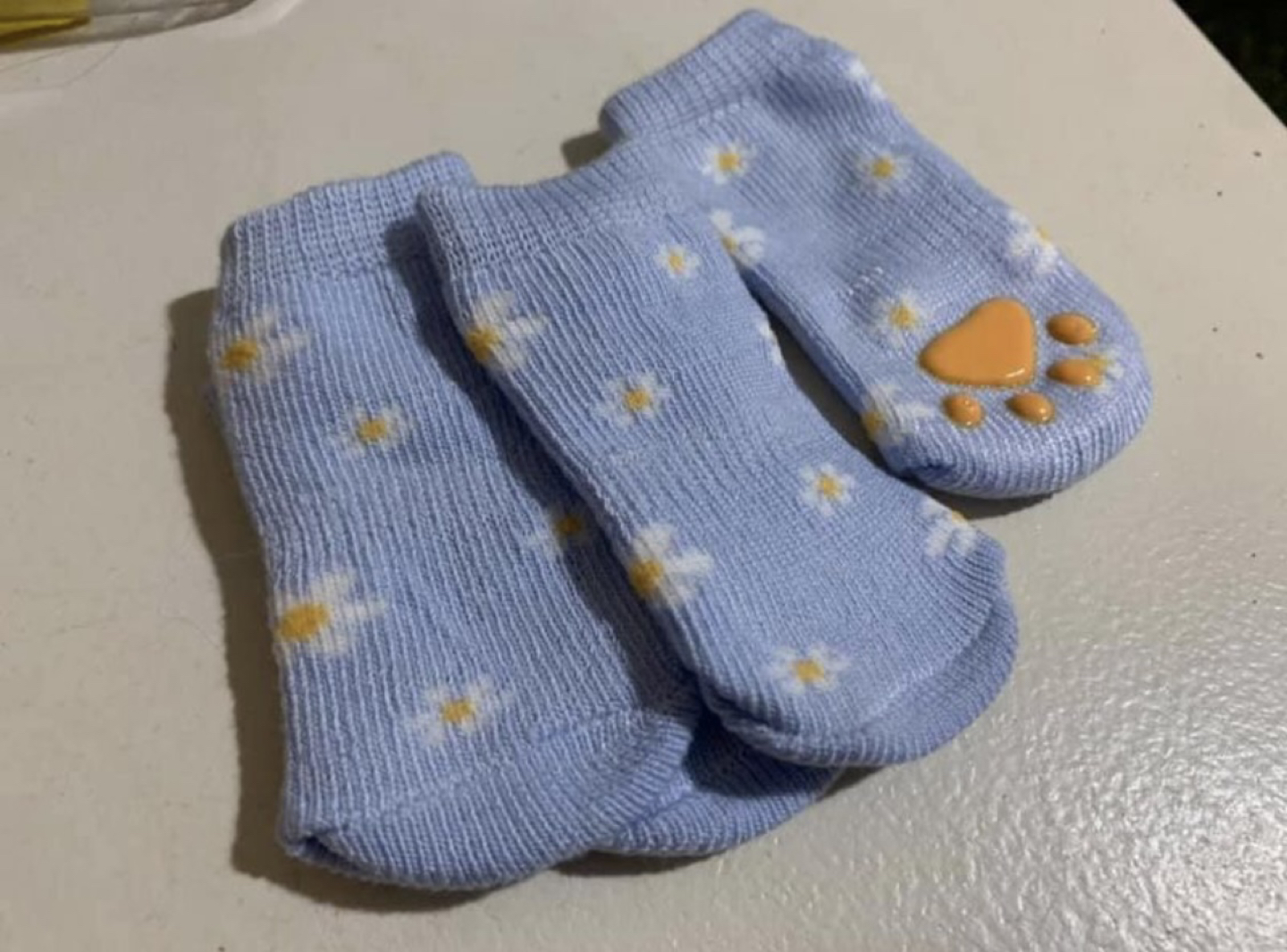 Brand new pet socks thumbnail