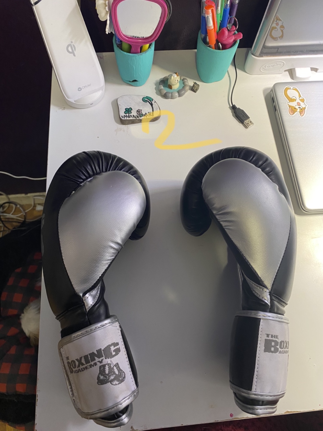 12 oz boxing gloves - photo 2