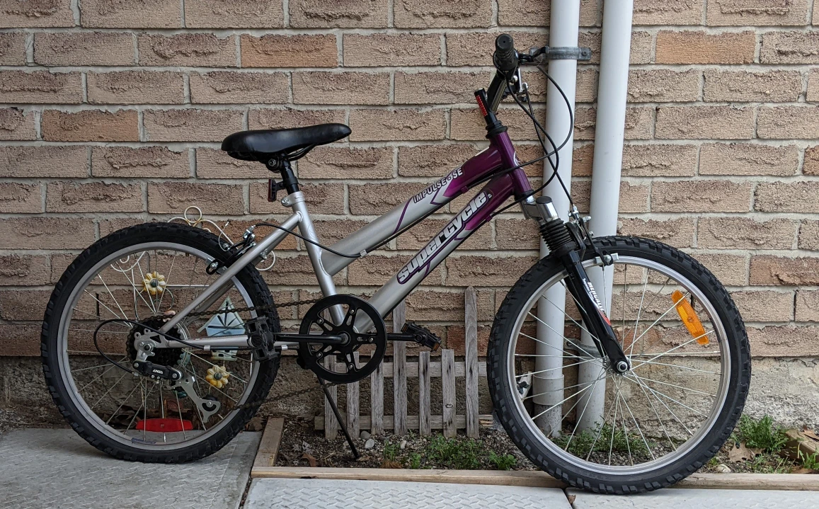 Size 20 Bike - photo 2