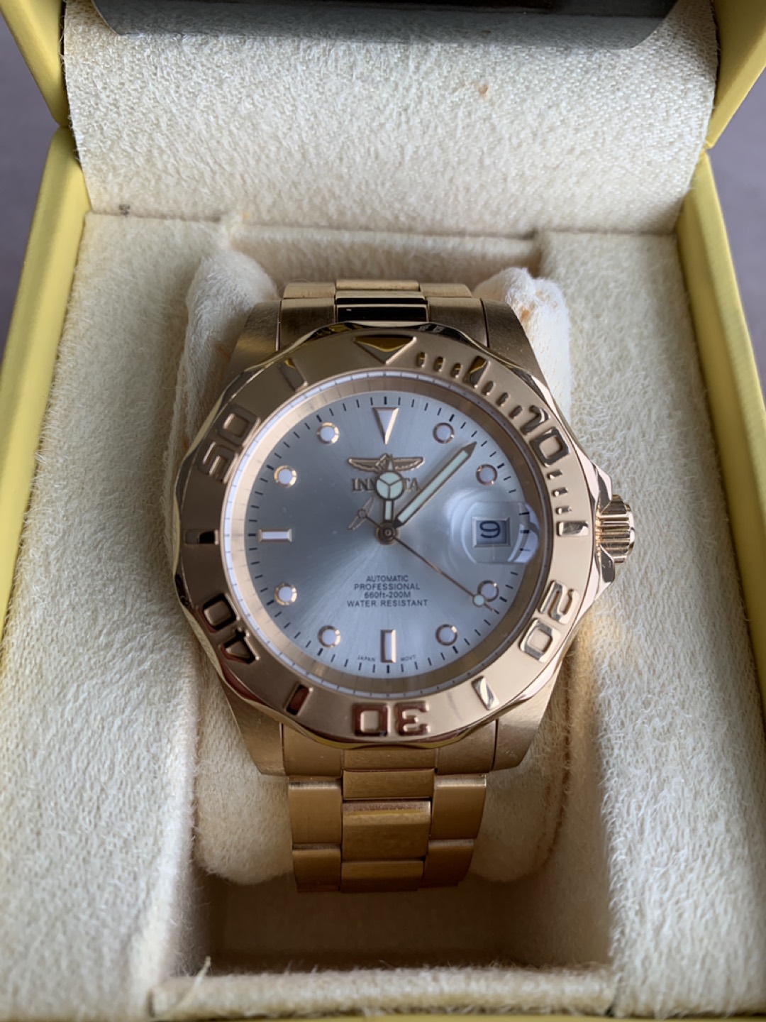 Invicta Pro Diver image indicator(2)