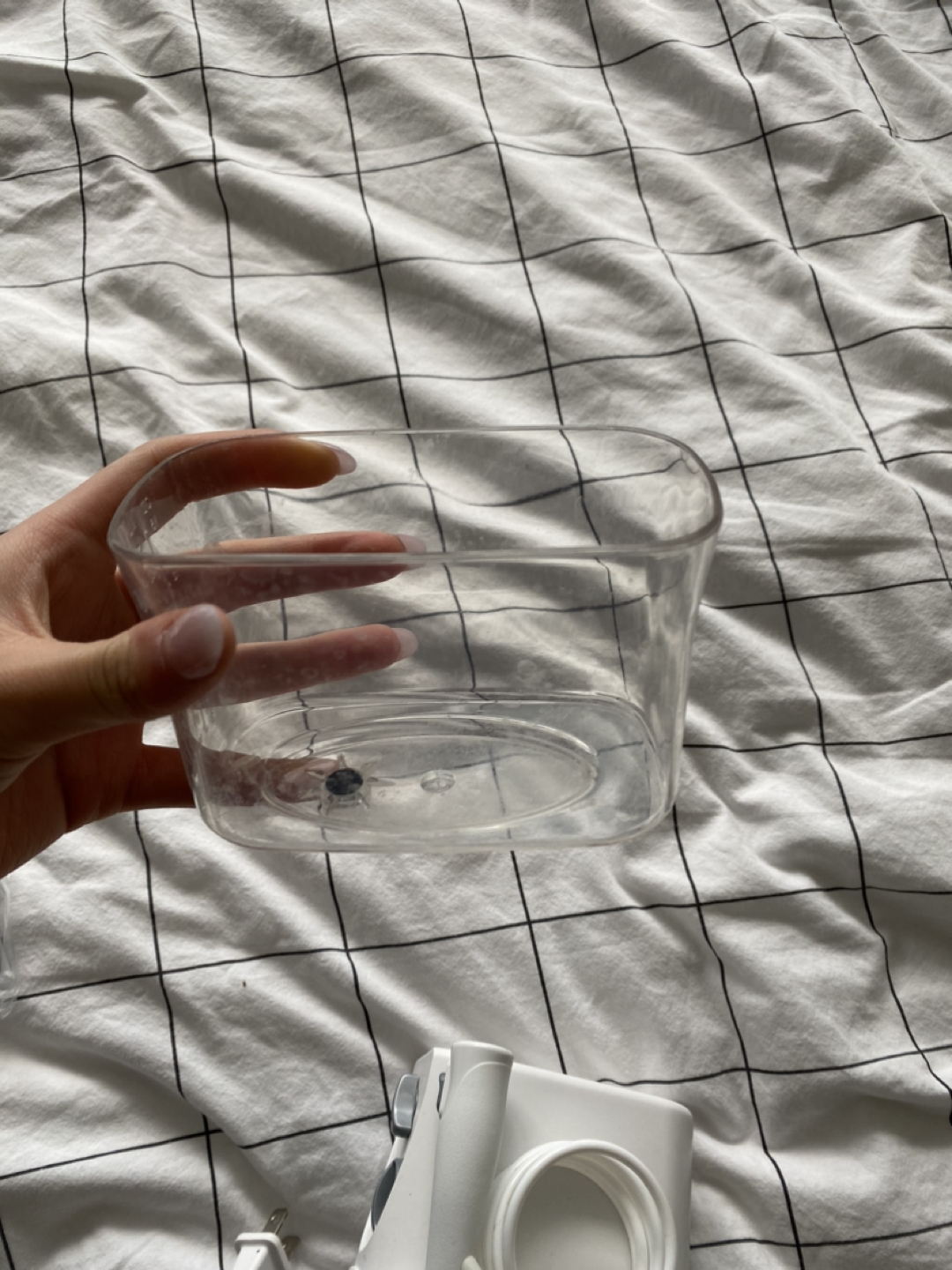 Water Flosser Travel SiE - photo 4