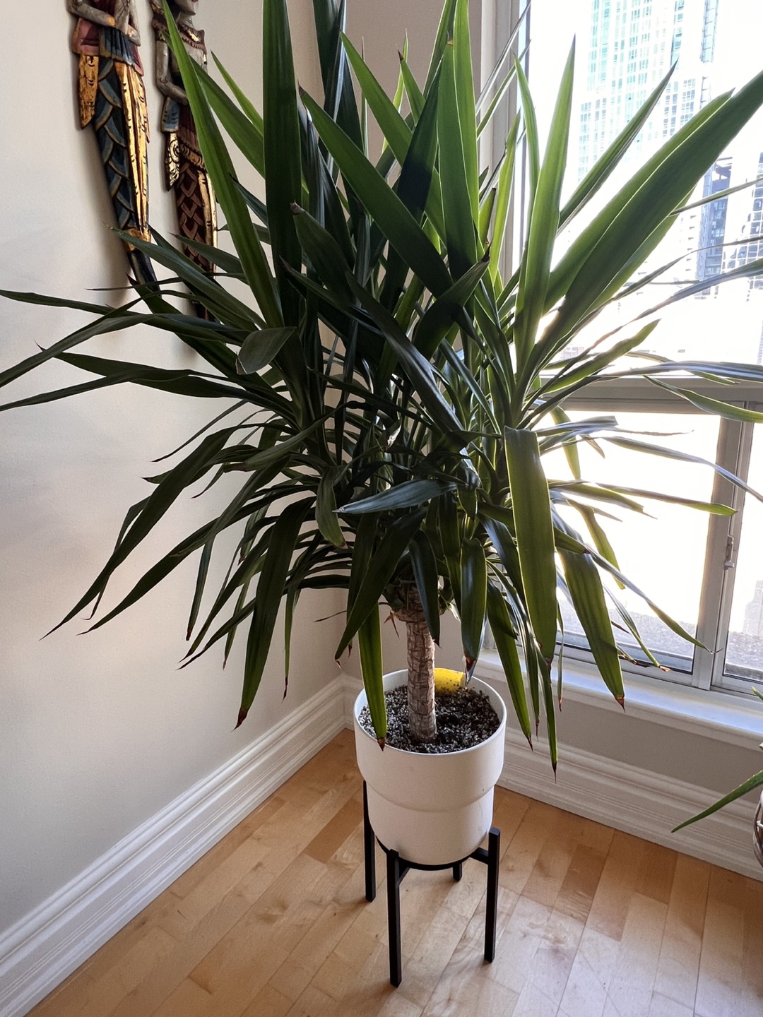 Plants - photo 2