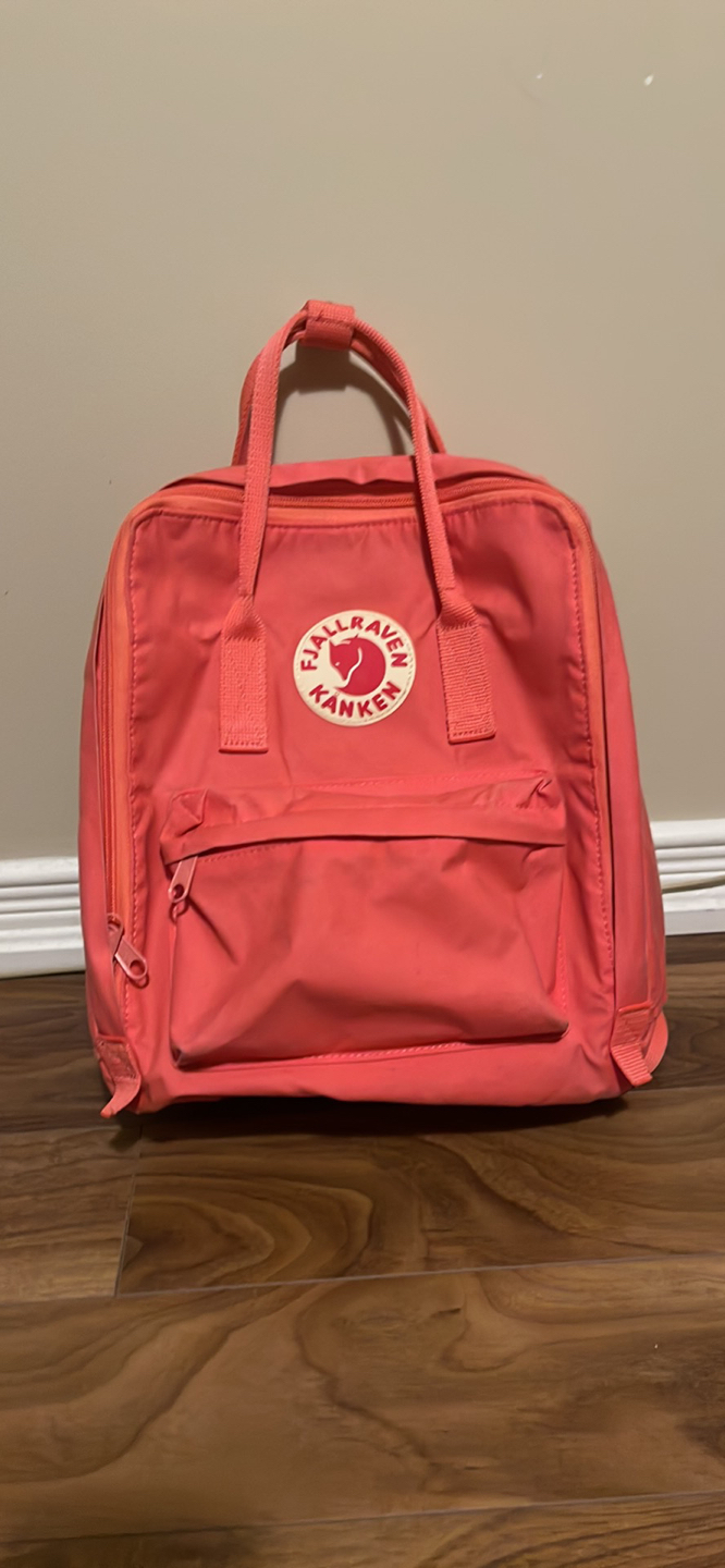 Back pack