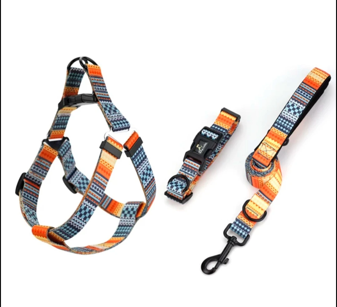 harness and leash set