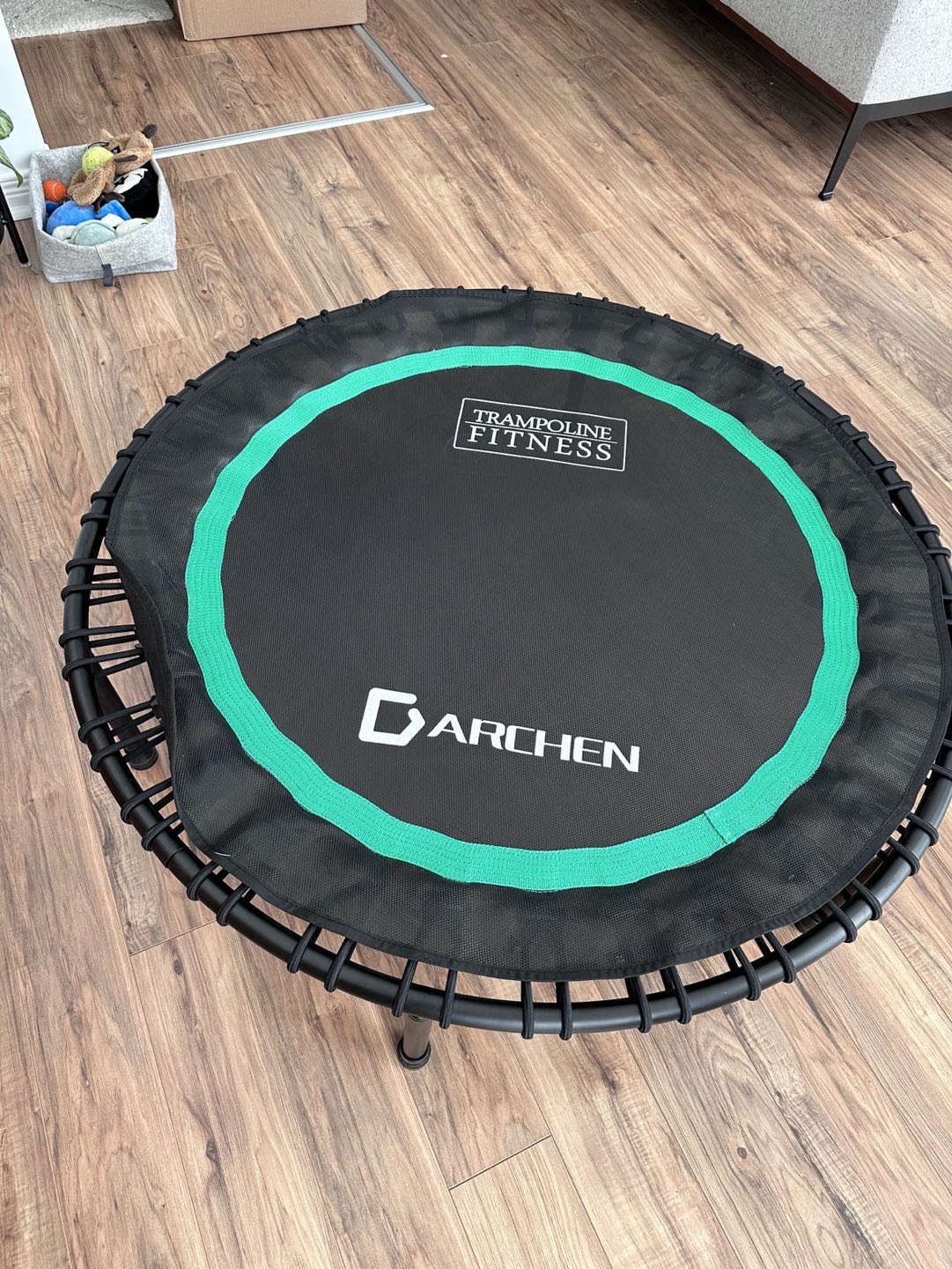 Darchen Indoor Mini Trampoline - photo 4