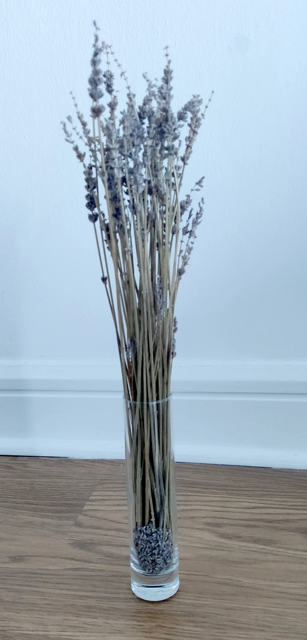 Dried Lavender in Vase thumbnail