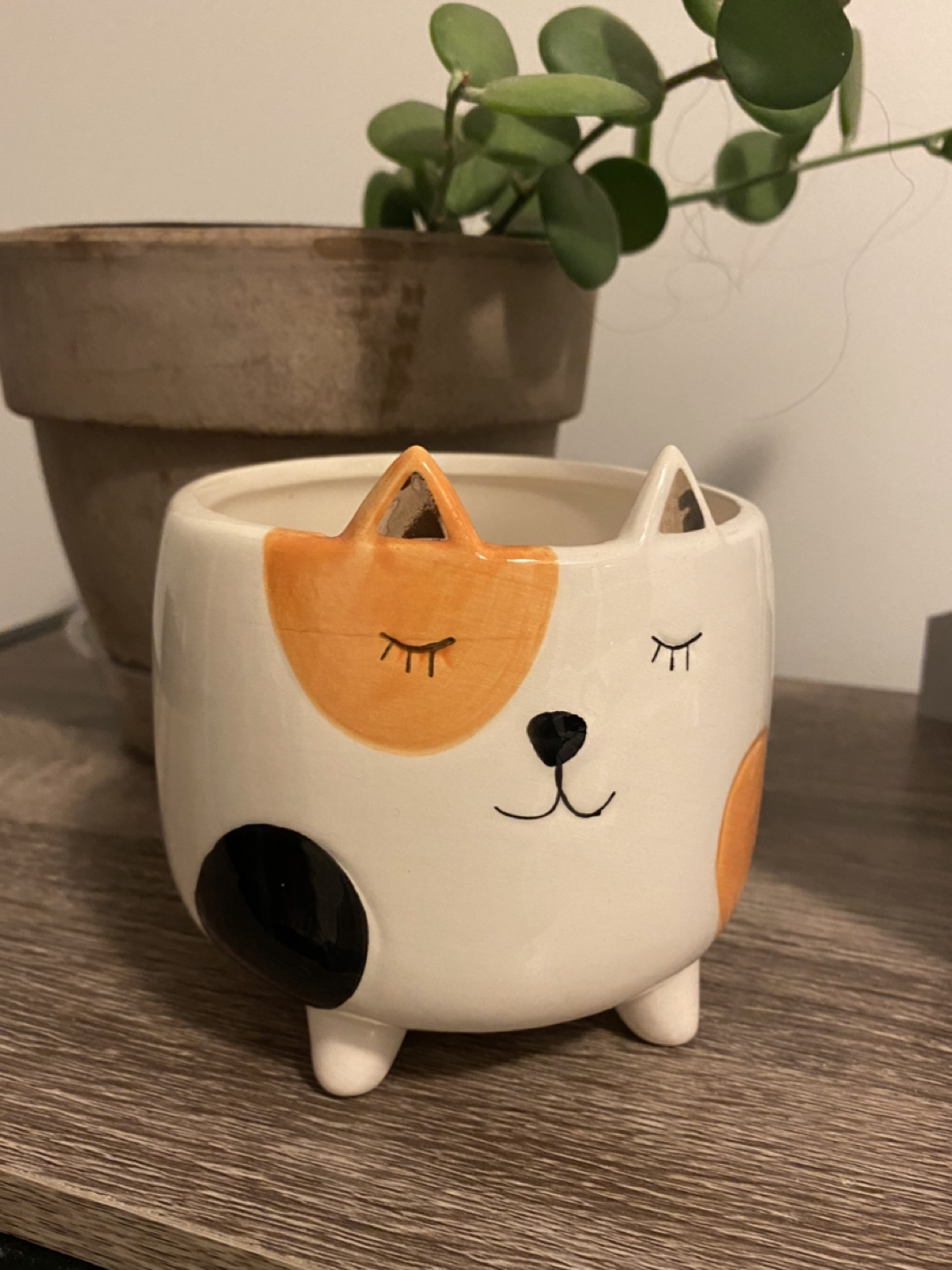 Super cute calico cat planter
