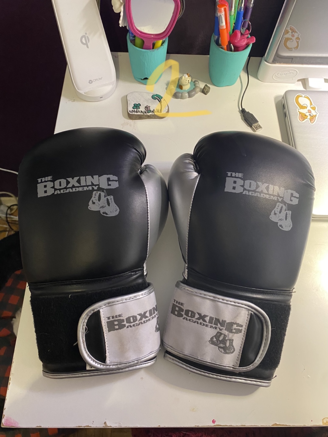 12 oz boxing gloves