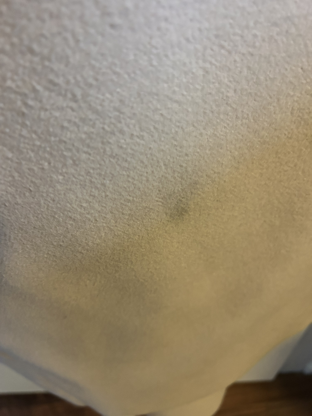 Beige soft Spring coat image indicator(4)