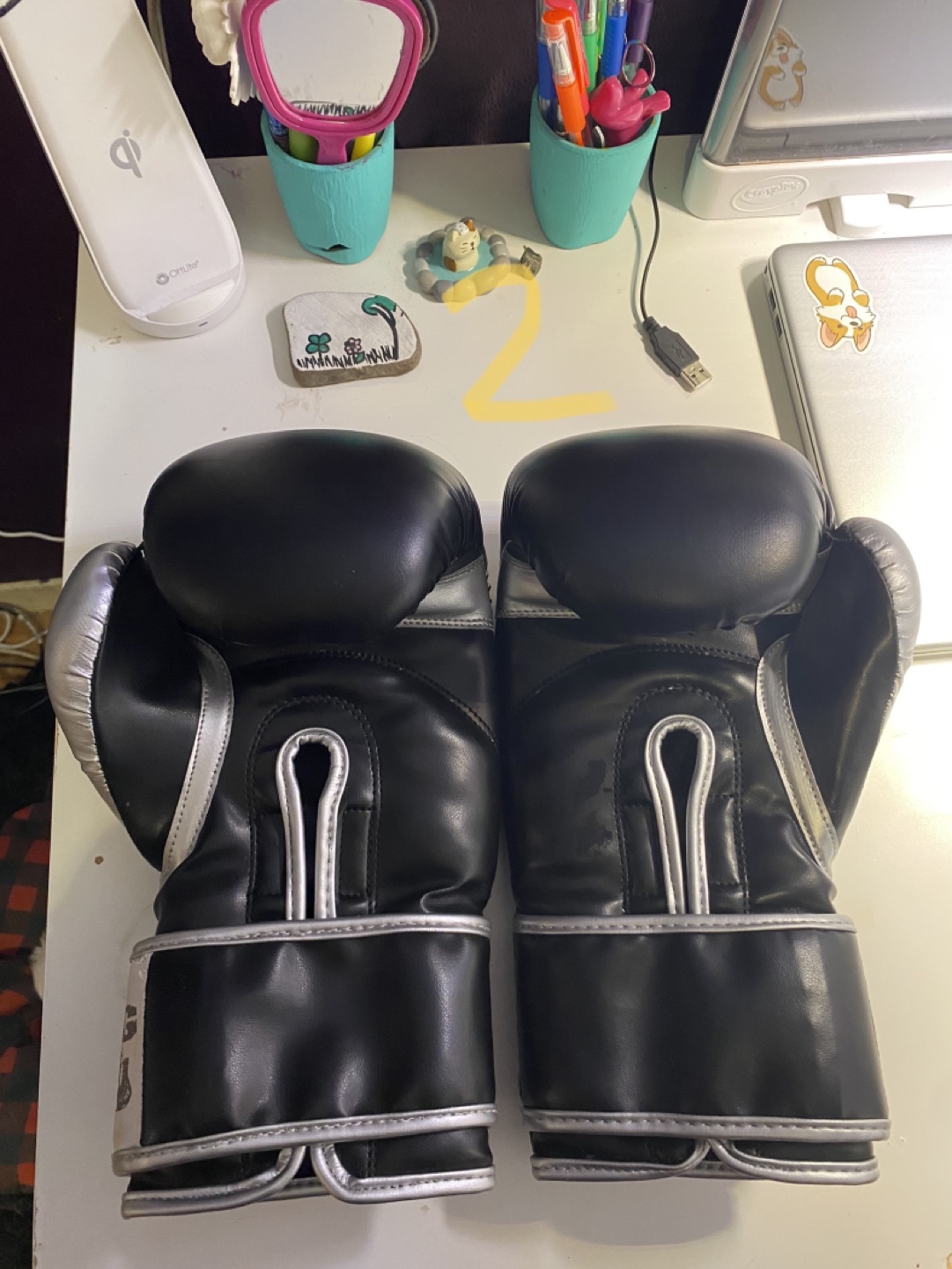 12 oz boxing gloves - photo 3