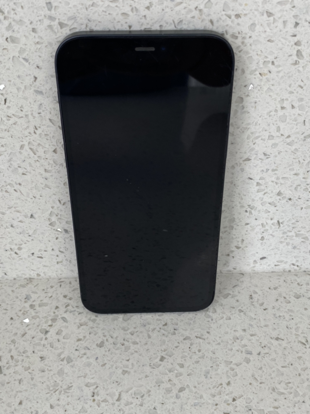 iPhone 12 - photo 2