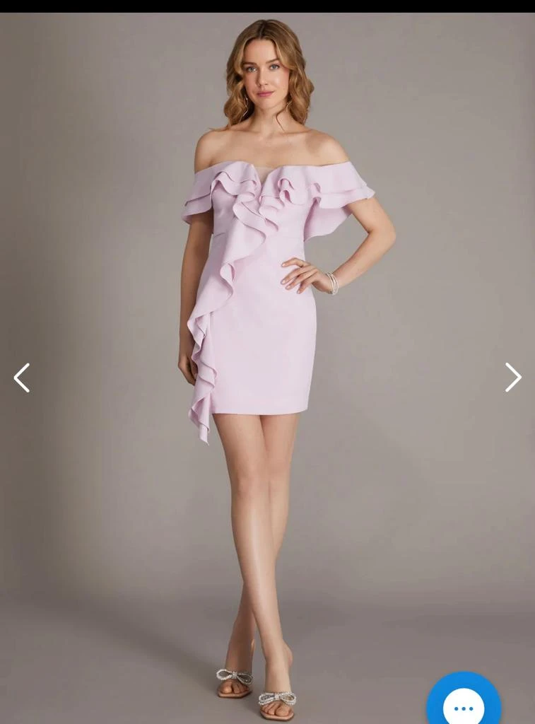 Brand New Dress (Unworn) Le chateau Brand