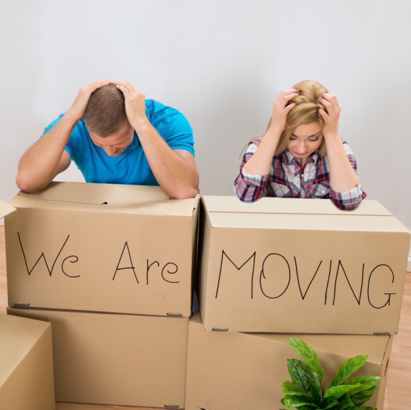MOVING OUT SALE