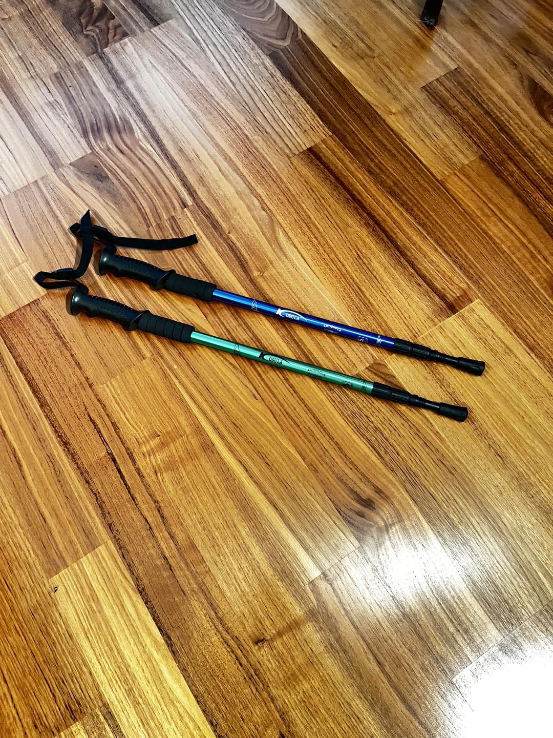 Walking Poles x 2. NEW