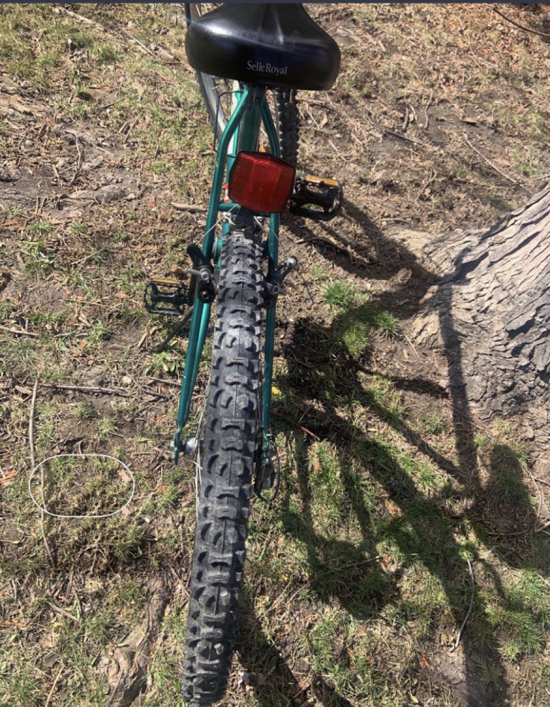 CCM , ICE 21 speed.26 inches wheels mountain bike image indicator(5)