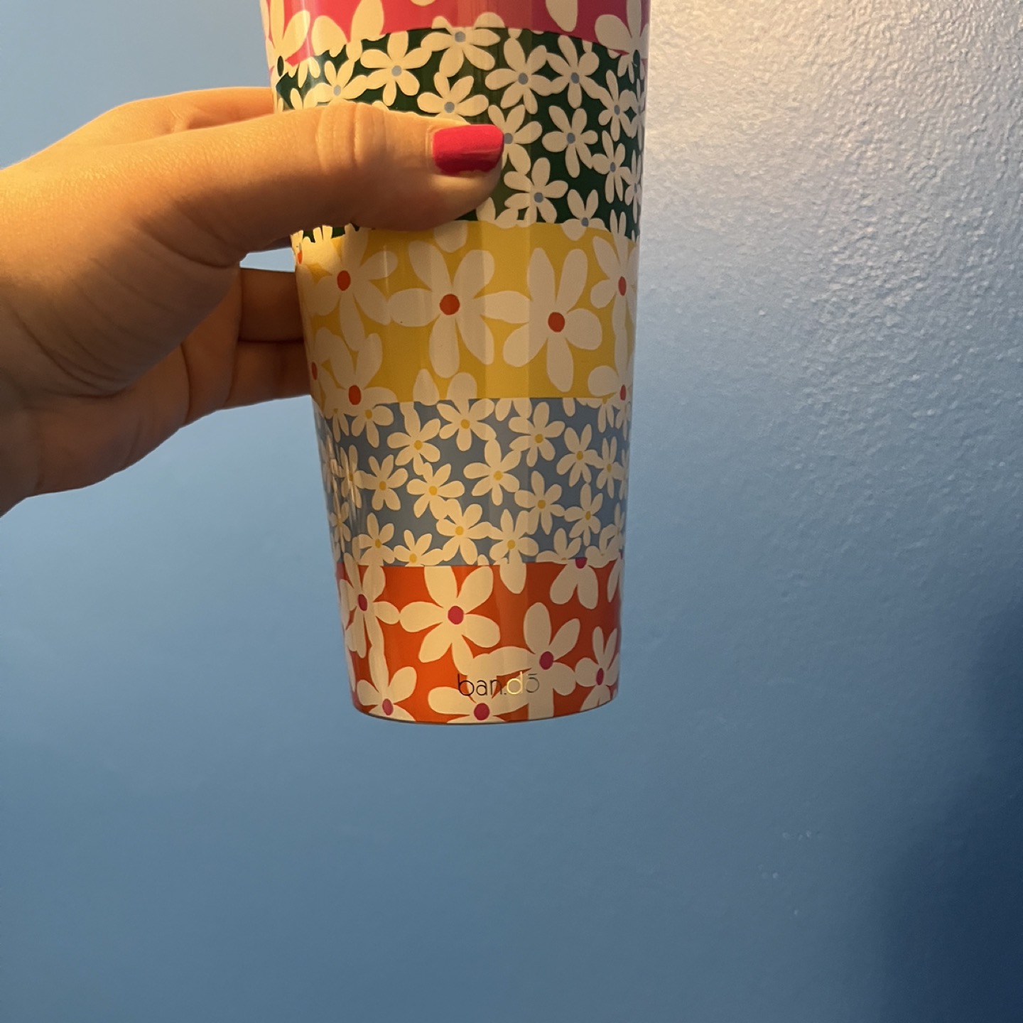 Ban.do Daisy Sip Sip 24oz Tumbler with Reusable Straw image indicator(5)