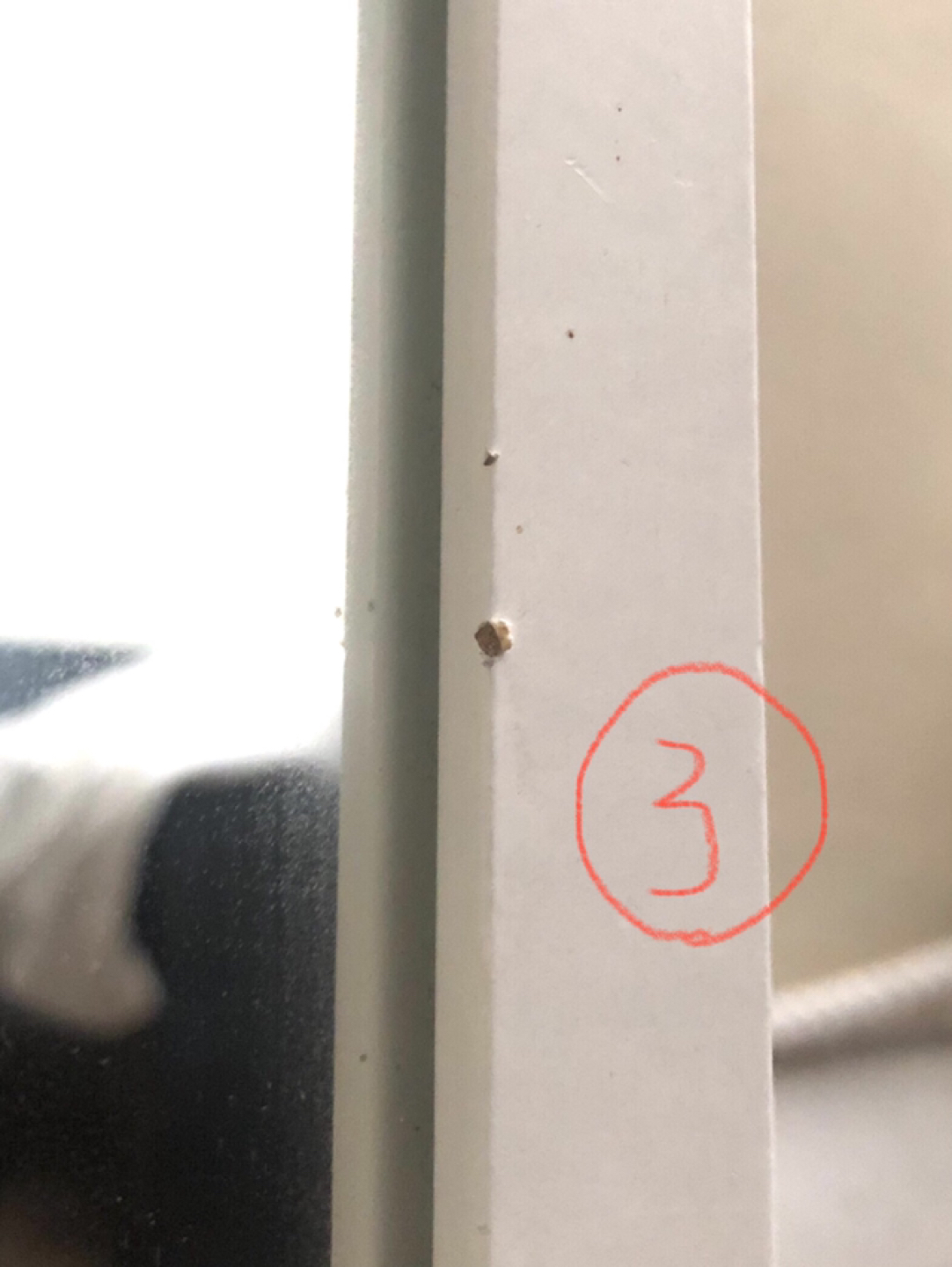 IKEA white mirror 40x160cm - photo 5