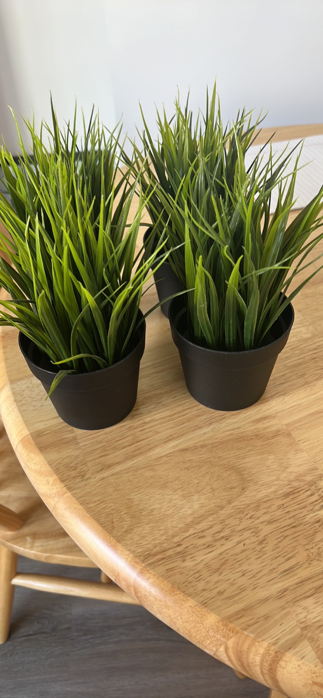 IKEA fake plants x4 - photo 2