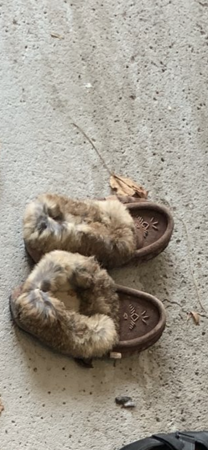 Size 8 shoe thumbnail