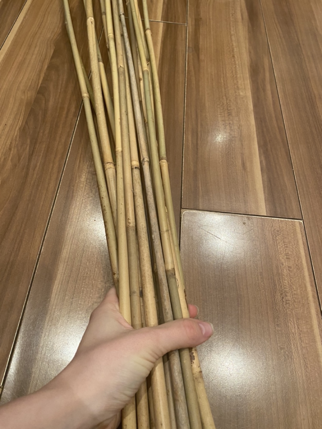 Decorative bamboo image indicator(5)